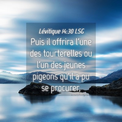 Picture 04 - Lévitique 14:30 LSG - Puis il offrira l'une des tourterelles ou l'un - Bible Verse Picture