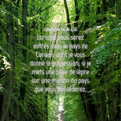 Picture 04 - Lévitique 14:34 LSG - Lorsque vous serez entrés dans le pays de - Bible Verse Picture
