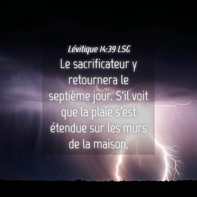 Picture 04 - Lévitique 14:39 LSG - Le sacrificateur y retournera le septième jour. - Bible Verse Picture
