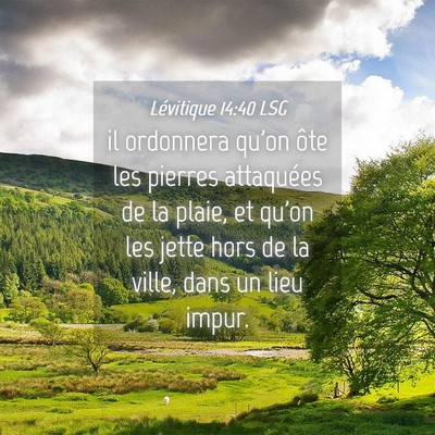 Picture 04 - Lévitique 14:40 LSG - il ordonnera qu'on ôte les pierres attaquées de - Bible Verse Picture