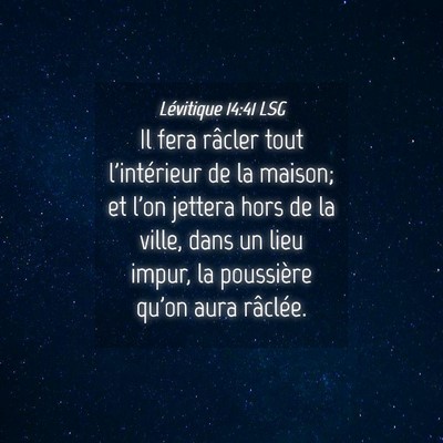 Picture 04 - Lévitique 14:41 LSG - Il fera râcler tout l'intérieur de la maison; - Bible Verse Picture