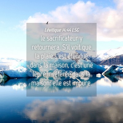Picture 04 - Lévitique 14:44 LSG - le sacrificateur y retournera. S'il voit que la - Bible Verse Picture