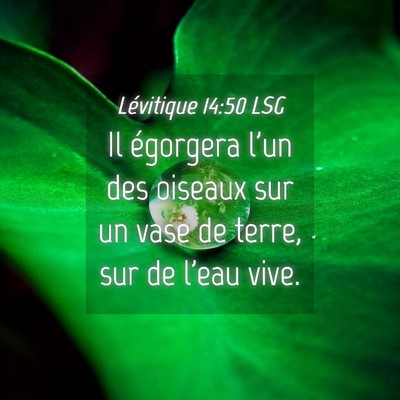 Picture 04 - Lévitique 14:50 LSG - Il égorgera l'un des oiseaux sur un vase de - Bible Verse Picture