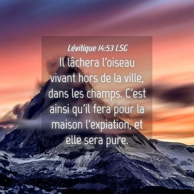 Picture 04 - Lévitique 14:53 LSG - Il lâchera l'oiseau vivant hors de la ville, - Bible Verse Picture
