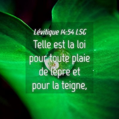 Picture 04 - Lévitique 14:54 LSG - Telle est la loi pour toute plaie de lèpre et - Bible Verse Picture
