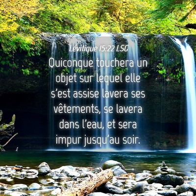 Picture 04 - Lévitique 15:22 LSG - Quiconque touchera un objet sur lequel elle s'est - Bible Verse Picture