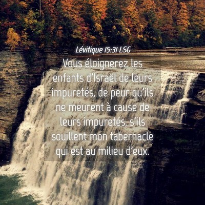 Picture 04 - Lévitique 15:31 LSG - Vous éloignerez les enfants d'Israël de leurs - Bible Verse Picture