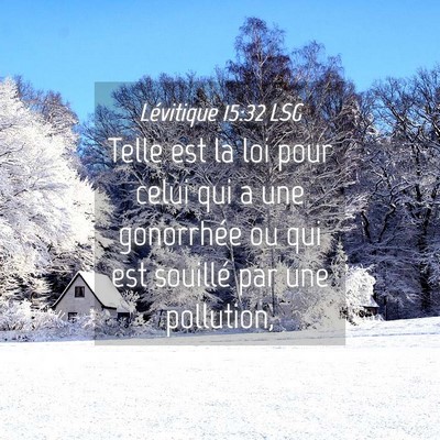 Picture 04 - Lévitique 15:32 LSG - Telle est la loi pour celui qui a une gonorrhée - Bible Verse Picture