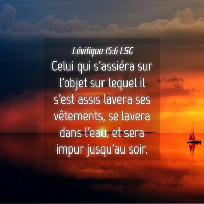 Picture 04 - Lévitique 15:6 LSG - Celui qui s'assiéra sur l'objet sur lequel il - Bible Verse Picture