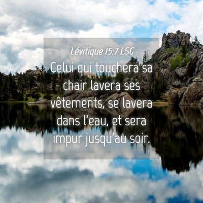 Picture 04 - Lévitique 15:7 LSG - Celui qui touchera sa chair lavera ses - Bible Verse Picture