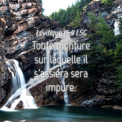 Picture 04 - Lévitique 15:9 LSG - Toute monture sur laquelle il s'assiéra sera - Bible Verse Picture