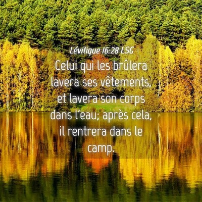 Picture 04 - Lévitique 16:28 LSG - Celui qui les brûlera lavera ses vêtements, et - Bible Verse Picture