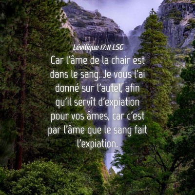 Picture 04 - Lévitique 17:11 LSG - Car l'âme de la chair est dans le sang. Je vous - Bible Verse Picture