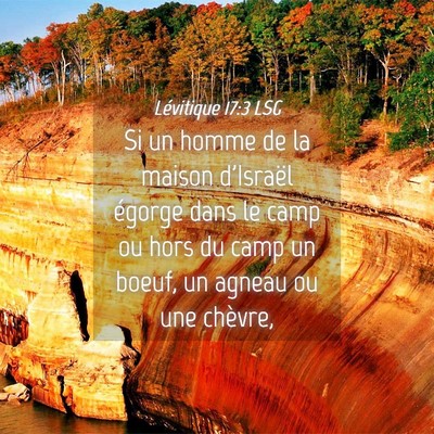 Picture 04 - Lévitique 17:3 LSG - Si un homme de la maison d'Israël égorge dans - Bible Verse Picture