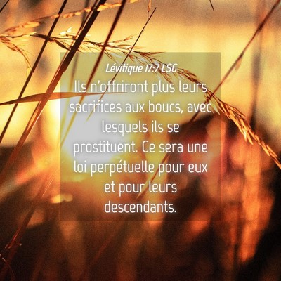 Picture 04 - Lévitique 17:7 LSG - Ils n'offriront plus leurs sacrifices aux boucs, - Bible Verse Picture