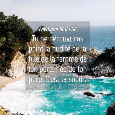 Picture 04 - Lévitique 18:11 LSG - Tu ne découvriras point la nudité de la fille - Bible Verse Picture