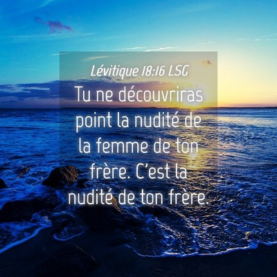 Picture 04 - Lévitique 18:16 LSG - Tu ne découvriras point la nudité de la femme - Bible Verse Picture