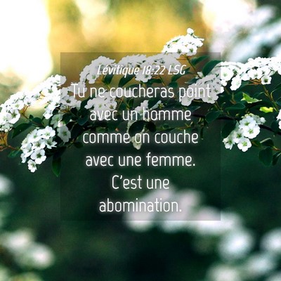 Picture 04 - Lévitique 18:22 LSG - Tu ne coucheras point avec un homme comme on - Bible Verse Picture