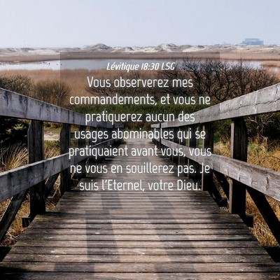 Picture 04 - Lévitique 18:30 LSG - Vous observerez mes commandements, et vous ne - Bible Verse Picture