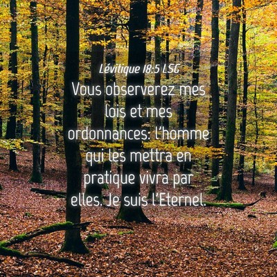 Picture 04 - Lévitique 18:5 LSG - Vous observerez mes lois et mes ordonnances: - Bible Verse Picture