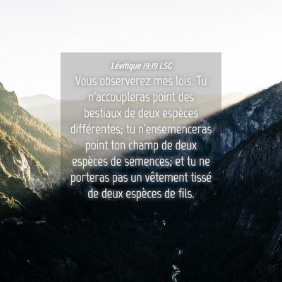 Picture 04 - Lévitique 19:19 LSG - Vous observerez mes lois. Tu n'accoupleras point - Bible Verse Picture