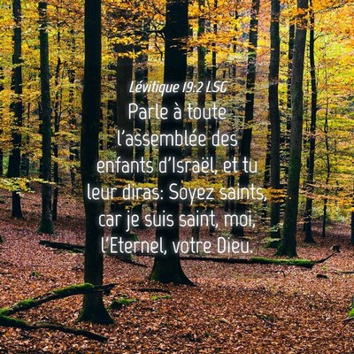 Picture 04 - Lévitique 19:2 LSG - Parle à toute l'assemblée des enfants - Bible Verse Picture