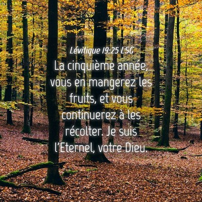 Picture 04 - Lévitique 19:25 LSG - La cinquième année, vous en mangerez les - Bible Verse Picture