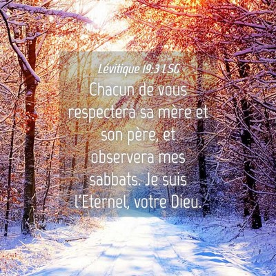 Picture 04 - Lévitique 19:3 LSG - Chacun de vous respectera sa mère et son père, - Bible Verse Picture