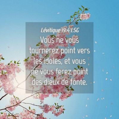 Picture 04 - Lévitique 19:4 LSG - Vous ne vous tournerez point vers les idoles, et - Bible Verse Picture