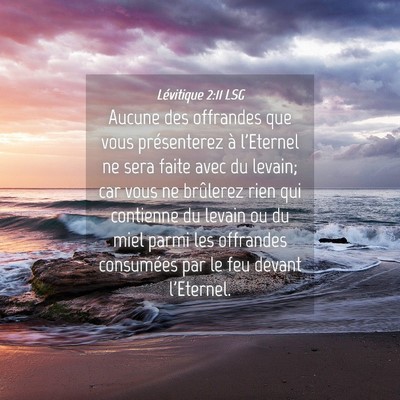 Picture 04 - Lévitique 2:11 LSG - Aucune des offrandes que vous présenterez à - Bible Verse Picture