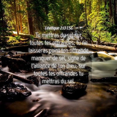 Picture 04 - Lévitique 2:13 LSG - Tu mettras du sel sur toutes tes offrandes; tu ne - Bible Verse Picture