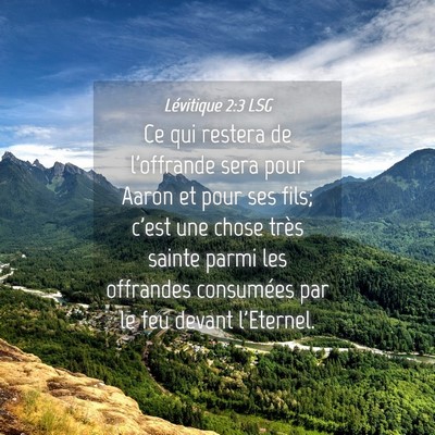 Picture 04 - Lévitique 2:3 LSG - Ce qui restera de l'offrande sera pour Aaron et - Bible Verse Picture