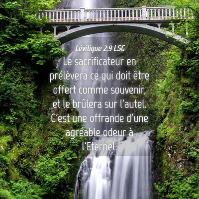 Picture 04 - Lévitique 2:9 LSG - Le sacrificateur en prélèvera ce qui doit être - Bible Verse Picture