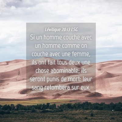 Picture 04 - Lévitique 20:13 LSG - Si un homme couche avec un homme comme on couche - Bible Verse Picture