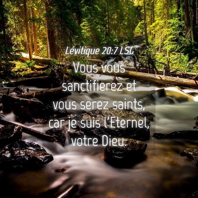 Picture 04 - Lévitique 20:7 LSG - Vous vous sanctifierez et vous serez saints, car - Bible Verse Picture