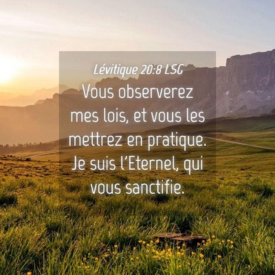 Picture 04 - Lévitique 20:8 LSG - Vous observerez mes lois, et vous les mettrez en - Bible Verse Picture