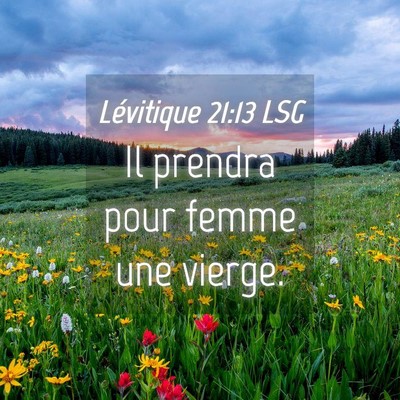 Picture 04 - Lévitique 21:13 LSG - Il prendra pour femme une - Bible Verse Picture