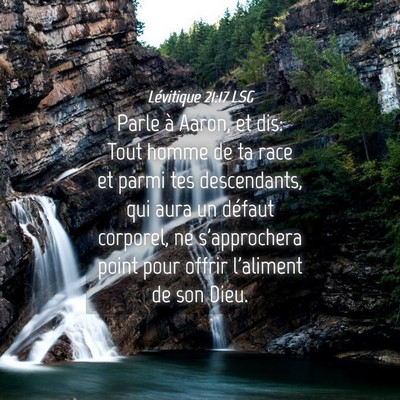 Picture 04 - Lévitique 21:17 LSG - Parle à Aaron, et dis: Tout homme de ta race et - Bible Verse Picture
