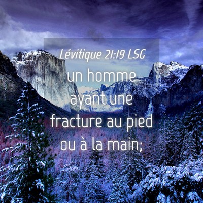 Picture 04 - Lévitique 21:19 LSG - un homme ayant une fracture au pied ou à la - Bible Verse Picture