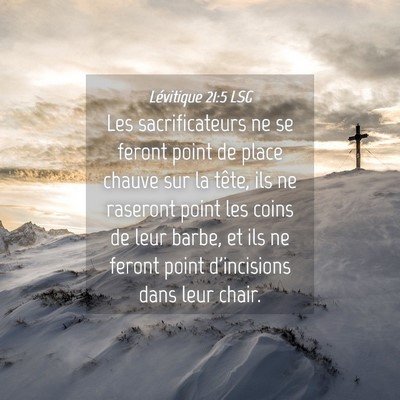 Picture 04 - Lévitique 21:5 LSG - Les sacrificateurs ne se feront point de place - Bible Verse Picture