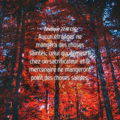 Picture 04 - Lévitique 22:10 LSG - Aucun étranger ne mangera des choses saintes; - Bible Verse Picture