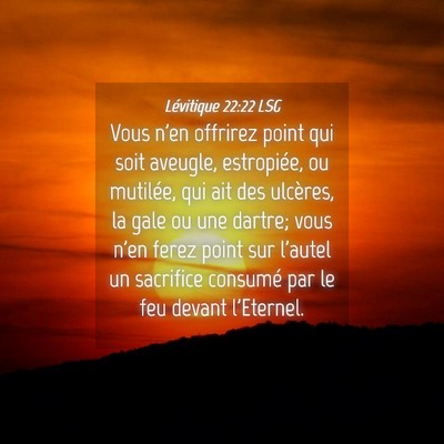 Picture 04 - Lévitique 22:22 LSG - Vous n'en offrirez point qui soit aveugle, - Bible Verse Picture