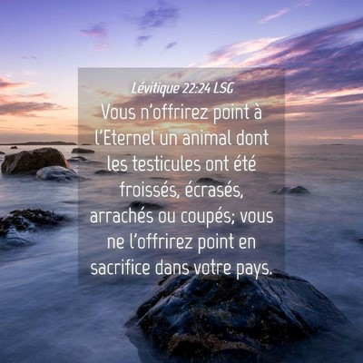 Picture 04 - Lévitique 22:24 LSG - Vous n'offrirez point à l'Eternel un animal dont - Bible Verse Picture