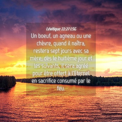 Picture 04 - Lévitique 22:27 LSG - Un boeuf, un agneau ou une chèvre, quand il - Bible Verse Picture