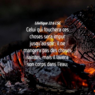 Picture 04 - Lévitique 22:6 LSG - Celui qui touchera ces choses sera impur jusqu'au - Bible Verse Picture