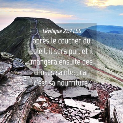 Picture 04 - Lévitique 22:7 LSG - après le coucher du soleil, il sera pur, et il - Bible Verse Picture