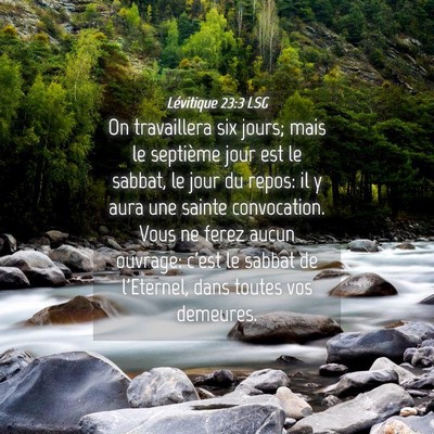 Picture 04 - Lévitique 23:3 LSG - On travaillera six jours; mais le septième jour - Bible Verse Picture