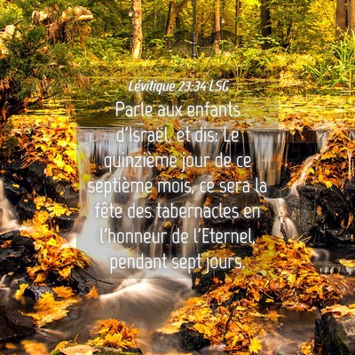 Picture 04 - Lévitique 23:34 LSG - Parle aux enfants d'Israël, et dis: Le - Bible Verse Picture