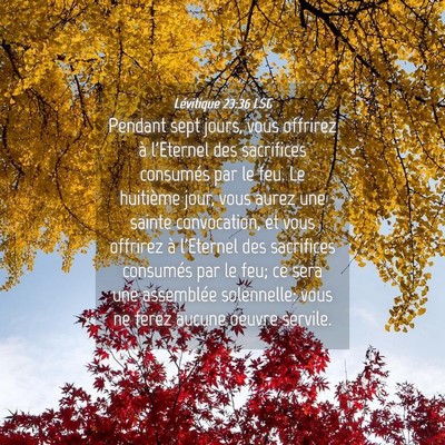 Picture 04 - Lévitique 23:36 LSG - Pendant sept jours, vous offrirez à l'Eternel - Bible Verse Picture