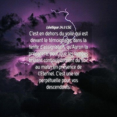 Picture 04 - Lévitique 24:3 LSG - C'est en dehors du voile qui est devant le - Bible Verse Picture